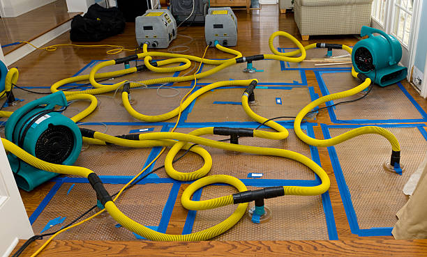 Professional Sewage Cleanup technician working in Santa Fe Springs, CA